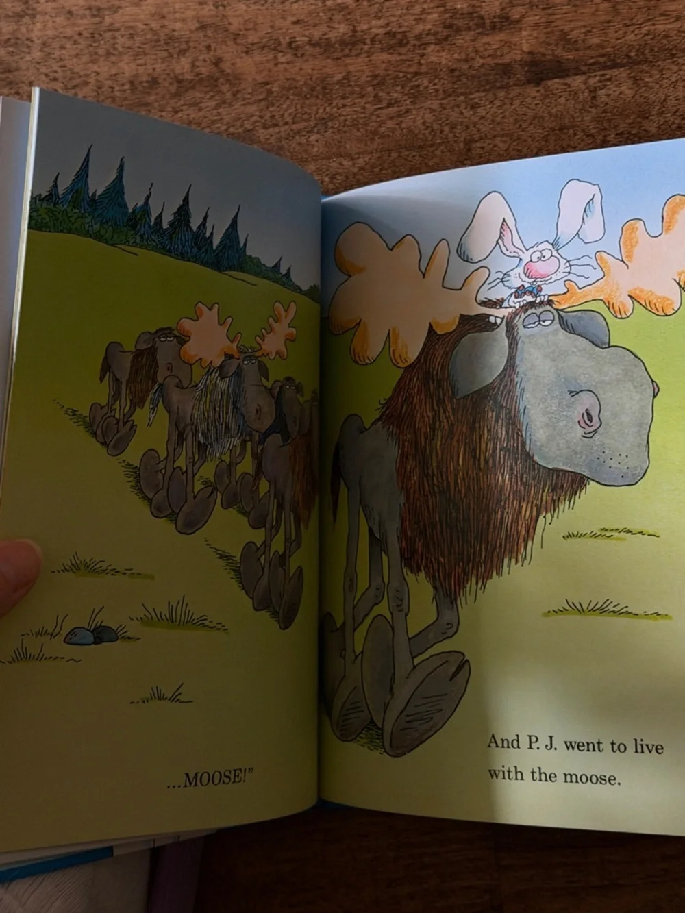 It's Not Easy Being a Bunny - Blue Beginner Kids Book